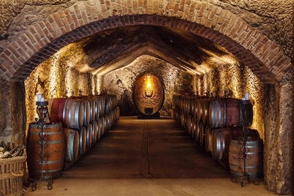 Wine cellar